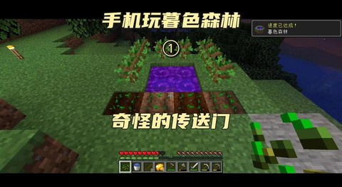 我的世界手机怎么去暮色森林[图2]