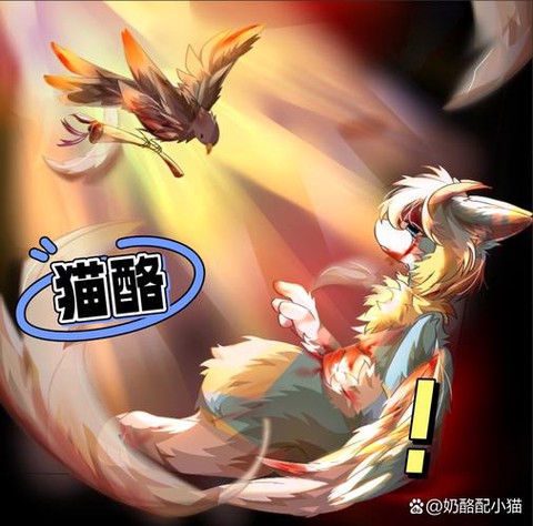 天天酷跑魔法猫怎么样