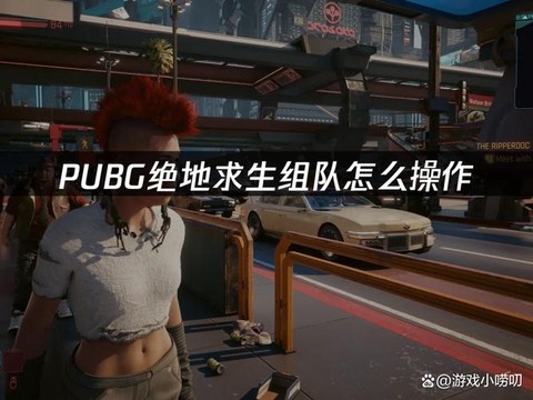 绝地大逃杀怎么组队[图1]