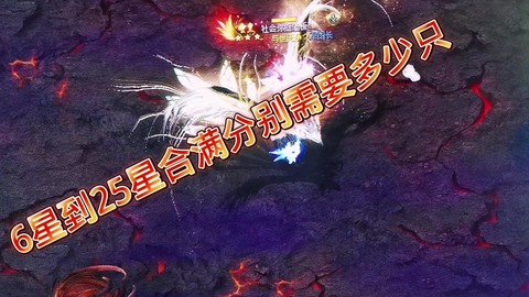 魔域魂副宠有什么用[图2]