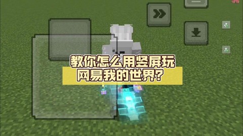 我的世界怎么tp别人手机版[图1]