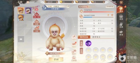 天龙八部洗髓丹怎么用