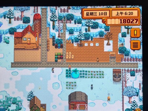 星露谷物语冬天种什么