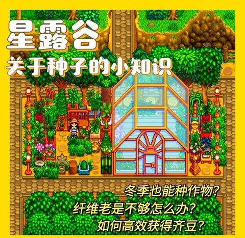 星露谷物语冬天种什么[图2]