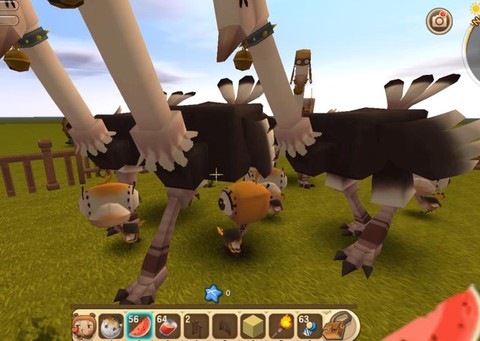 迷你世界如何驯服鸵鸟