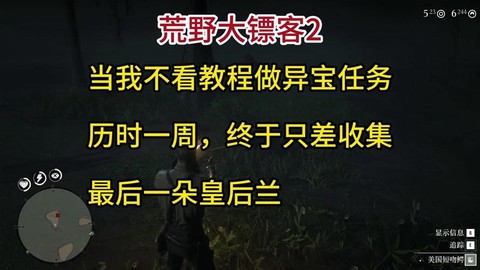 荒野大镖客怎么练级