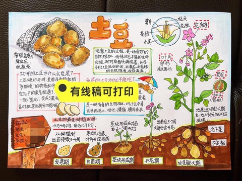 迷你世界怎么种土豆[图1]