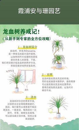 迷你世界怎么种龙血树[图2]