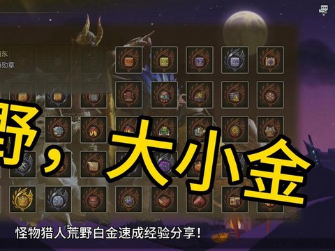 怪物猎人大小金是什么[图2]